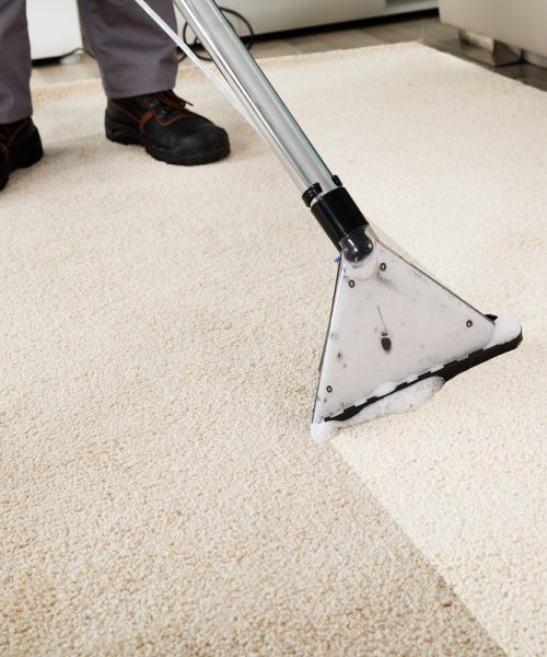 Close-up Of A Person Cleaning Carpet With Vacuum Cleaner